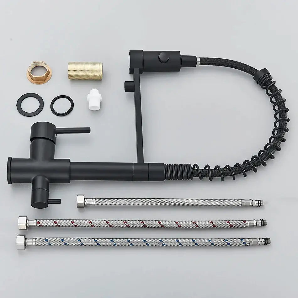 Modern matte black dual spout kitchen water filter faucet