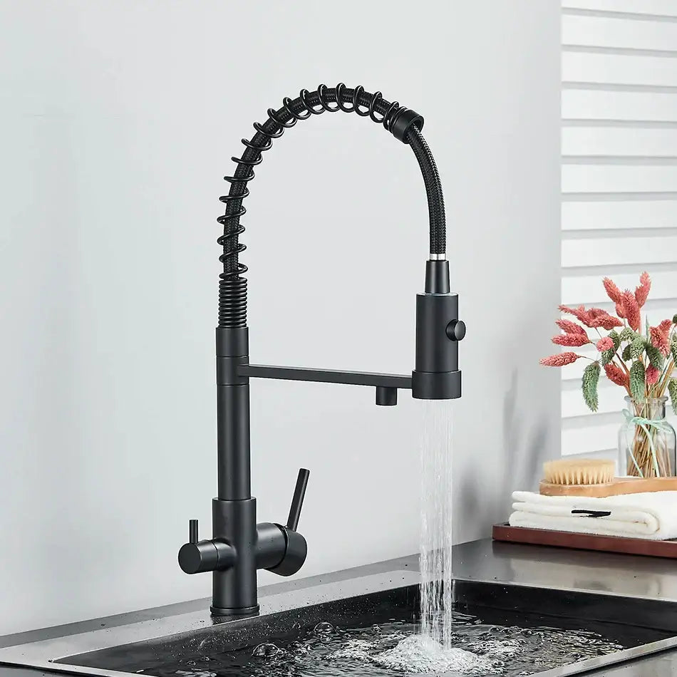 Modern matte black dual spout kitchen water filter faucet