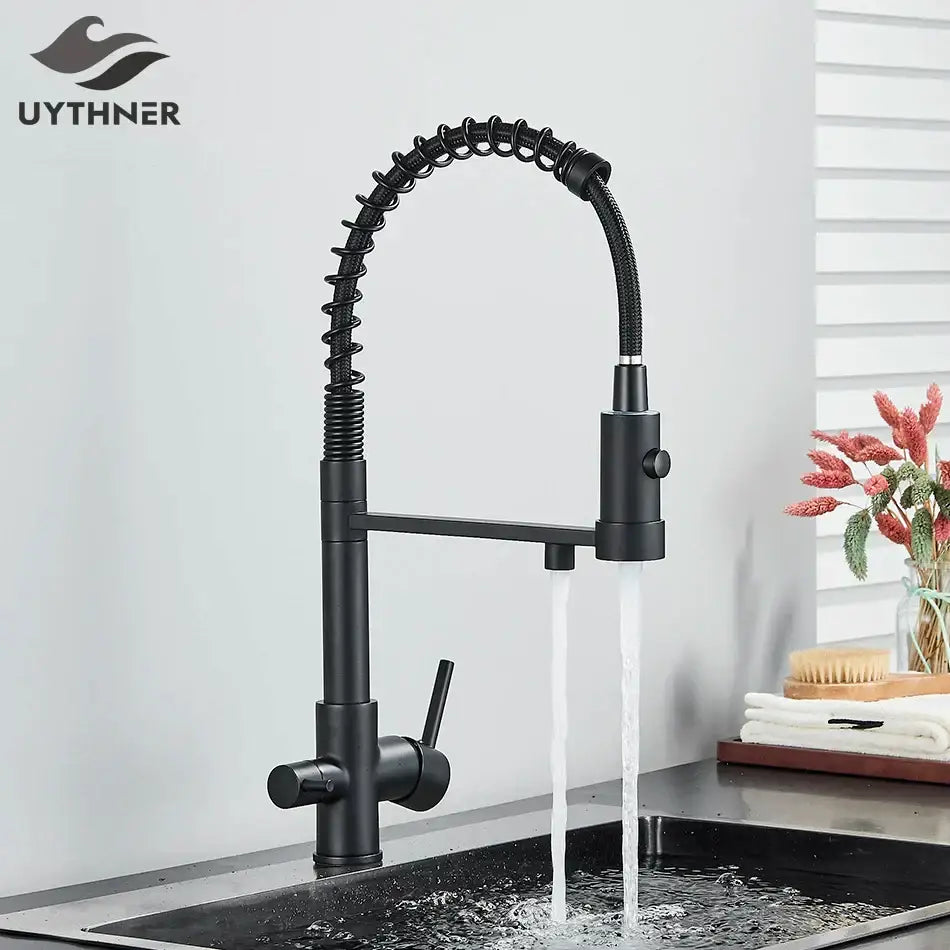 Modern matte black dual spout kitchen water filter faucet