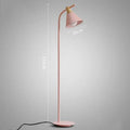 Modern pastel iron macaron floor lamp for living room wood accents