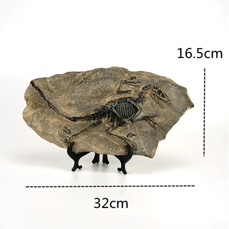 Retro gray and brown dinosaur fossil figurine living room decor