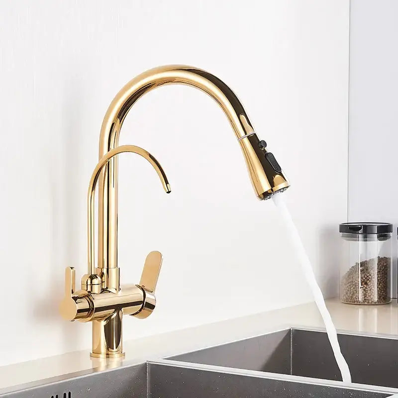 Stainless steel arched water filter faucet kitchen pull down spray