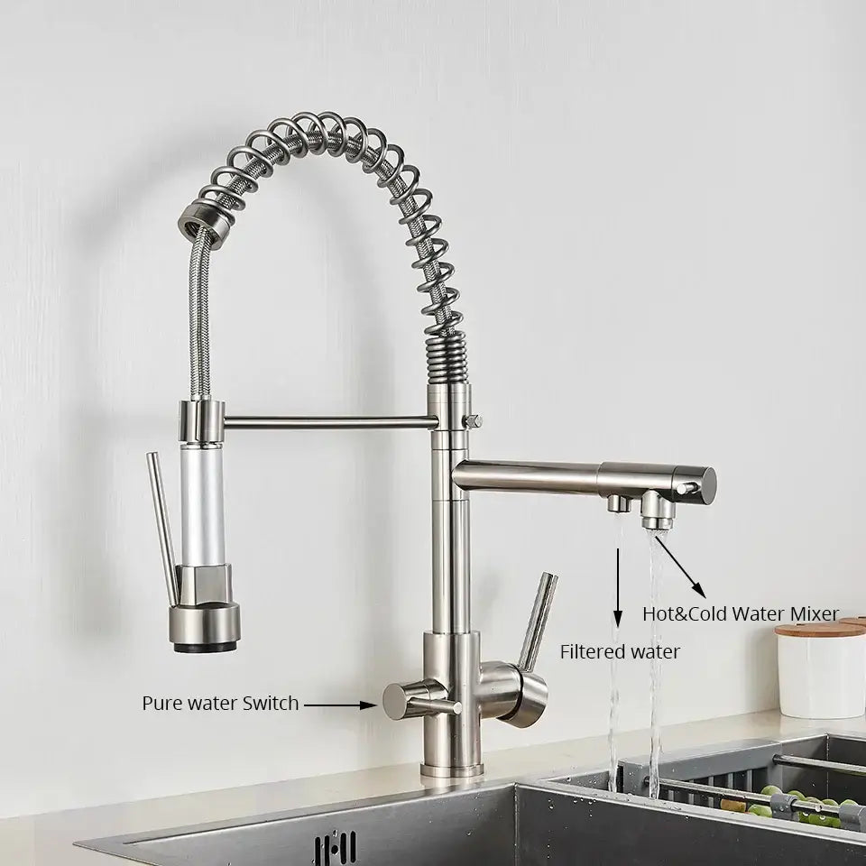 Stainless steel coiled spring kitchen water filter faucet