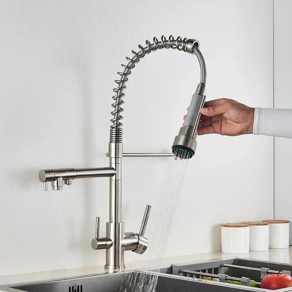 Stainless steel coiled spring kitchen water filter faucet